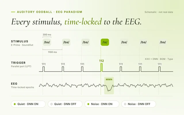 EEG Experiment Program project cover